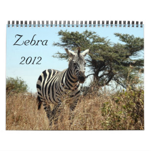 Kalender des Zebra 2012