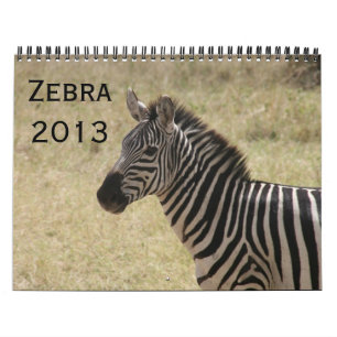 Kalender des Zebra 2013