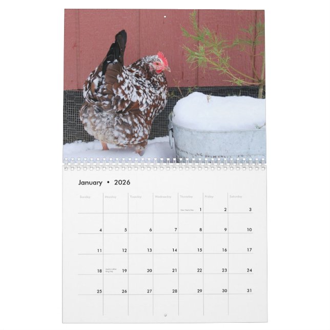 Kalender: Die Menge des Huhn-Kükens Kalender (Jan 2026)