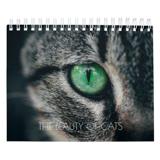 KALENDER "DIE SCHÖNHEIT DER KATZEN" (Titelbild)