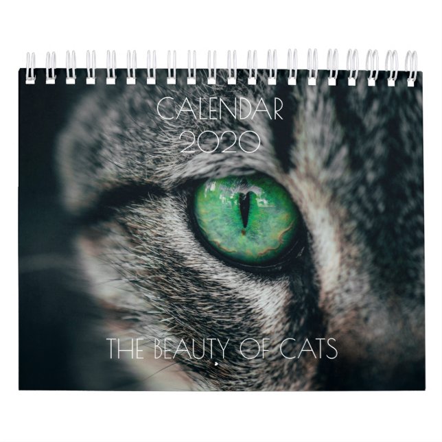 KALENDER "DIE SCHÖNHEIT DER KATZEN" (Titelbild)