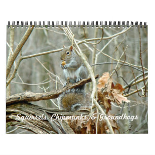 Kalender - Eichhörnchen Chipmunks Groundhogs