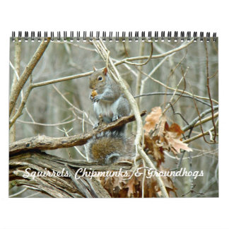 Kalender - Eichhörnchen Chipmunks Groundhogs