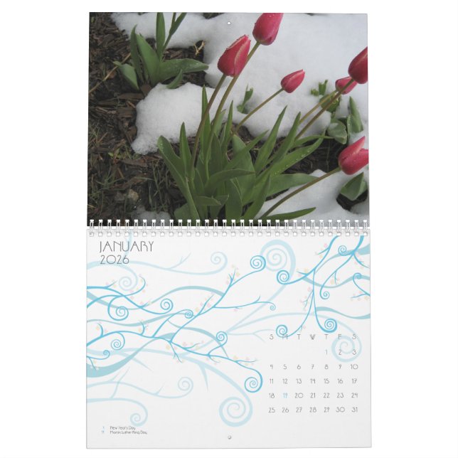 KALENDER: EIN JAHR IM LEBEN KALENDER (Jan 2026)