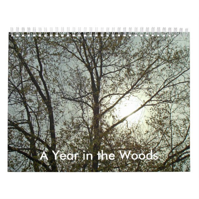 Kalender - Ein Jahr im Wald (Titelbild)