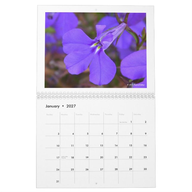 Kalender: Empfindliche Natur Kalender (Jan 2027)