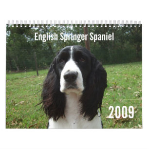 Kalender englischer Springerspaniel-2009
