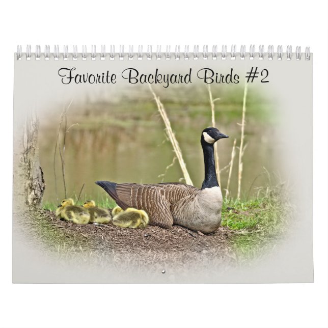 Kalender Favoriten Vögel im Hinterhof #2 (Titelbild)