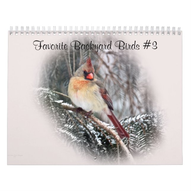 Kalender Favoritengeburten im Hinterhof #3 (Titelbild)