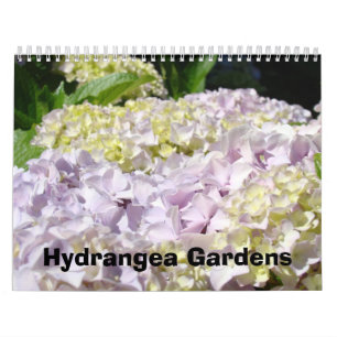 Kalender-Fotografie-Rosablaue Hydrangea-Gärten Kalender