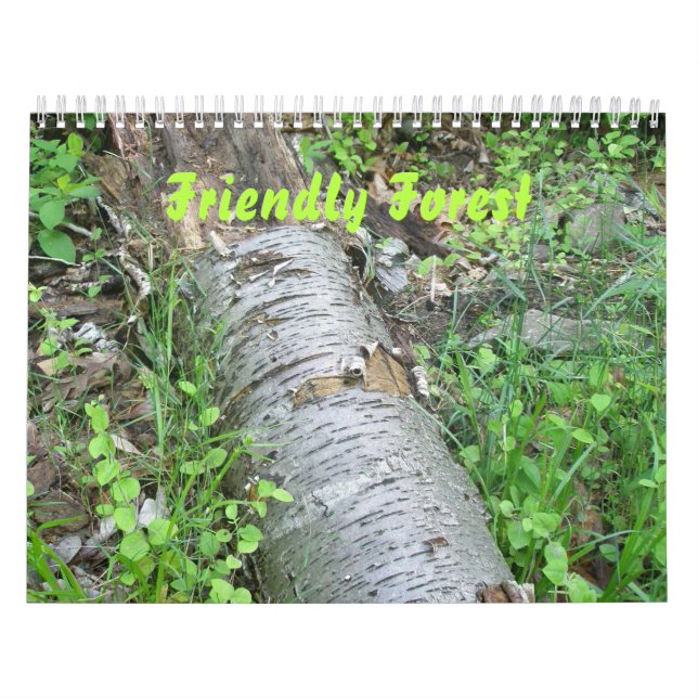 Kalender - Friendly Forest (Titelbild)