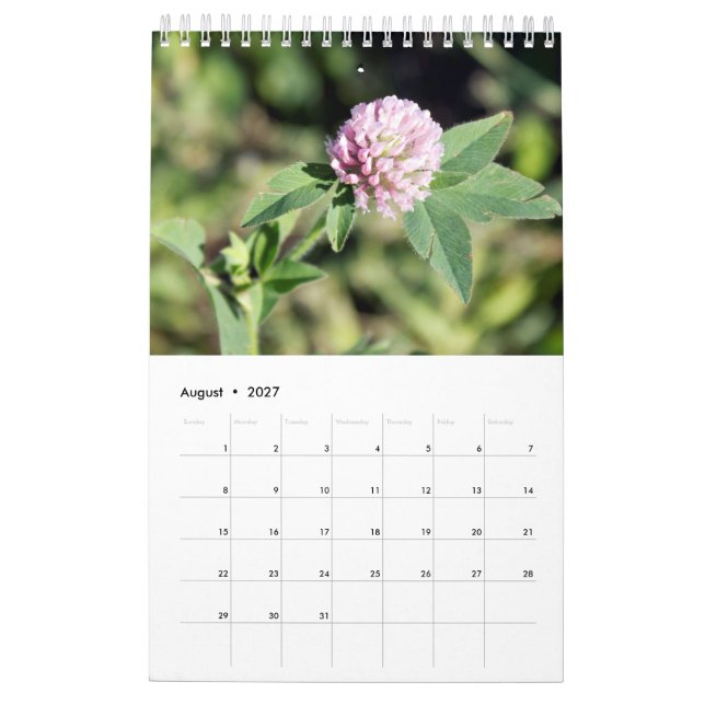 Kalender für benutzerdefinierte Fotografie (Aug 2027)