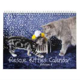 Kalender für die Rettung von Katzen - Ausgabe 4