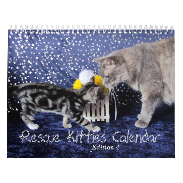 Kalender für die Rettung von Katzen - Ausgabe 4 (Titelbild)