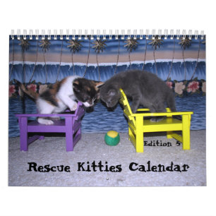 Kalender für die Rettung von Katzen - Ausgabe 5