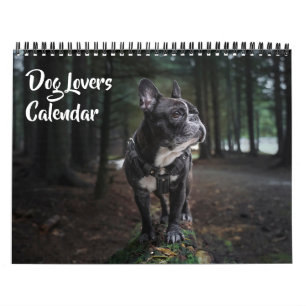 Kalender für Liebhaber mittelgroßer Hunde