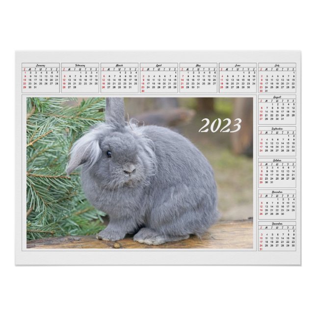 Kalender für Niedliches graues Kaninchen 2023 Poster (Vorderseite)