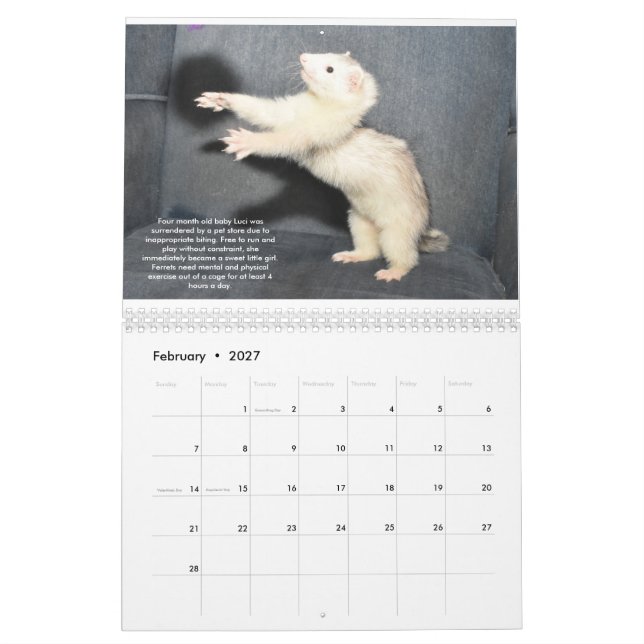 Kalender für Rettungsleistungen (Feb 2027)