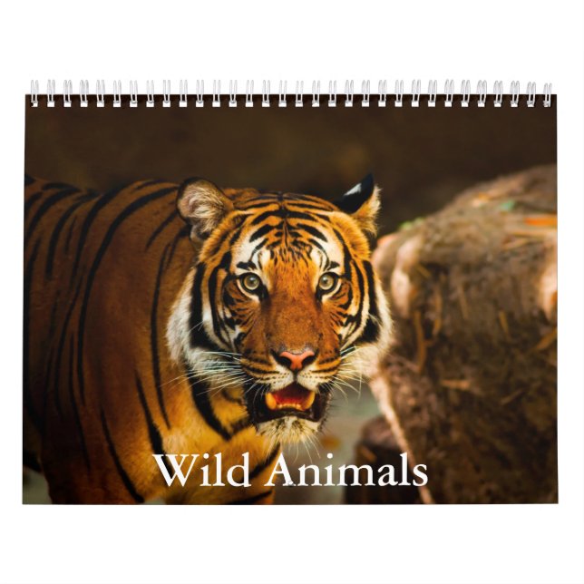 Kalender für wilde Tiere (Titelbild)