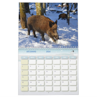 Kalender für Wildschweine, Calendar Boars