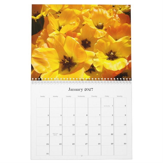 Kalender-Geschenk-Lehrer sind tägliche Helder! Kalender (Jan 2027)
