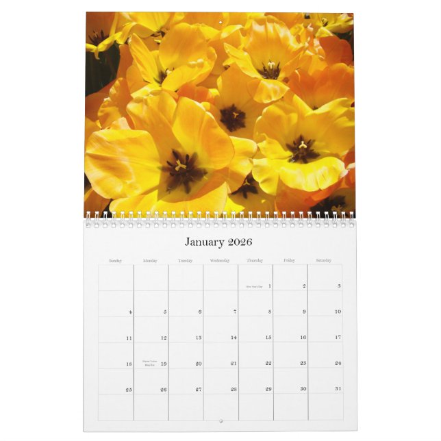 Kalender-Geschenk-Lehrer sind tägliche Helder! Kalender (Jan 2026)