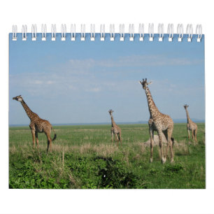 Kalender-Giraffe Kalender