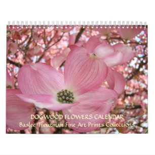 KALENDER HARTRIEGELBAUM BLÜTEN Frühling