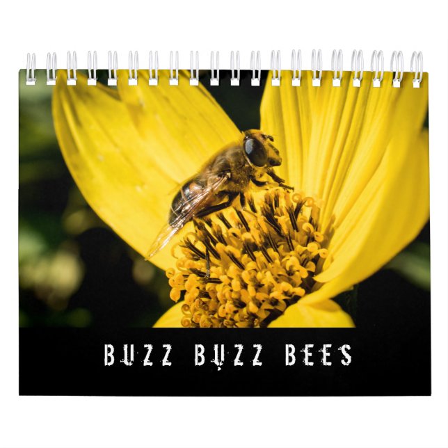 Kalender-Honig-und Hummel-Bienen Kalender (Titelbild)