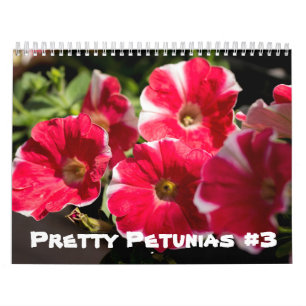 Kalender - Hübsche Petunias