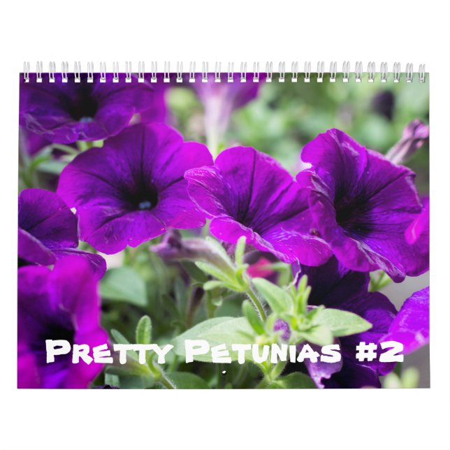 Kalender - Hübsche Petunias #2 (Titelbild)