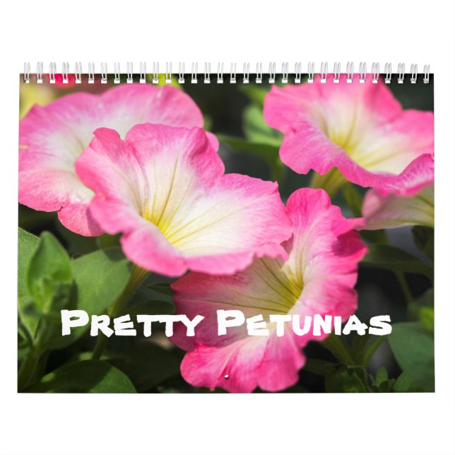 Kalender - Hübsches Petunias (Titelbild)