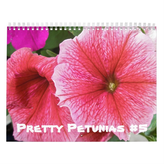 Kalender - Hübsches Petunias #5 (Titelbild)