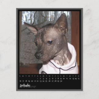 Kalender im September 2012