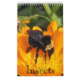 Kalender - Insekten (sgl. g.)