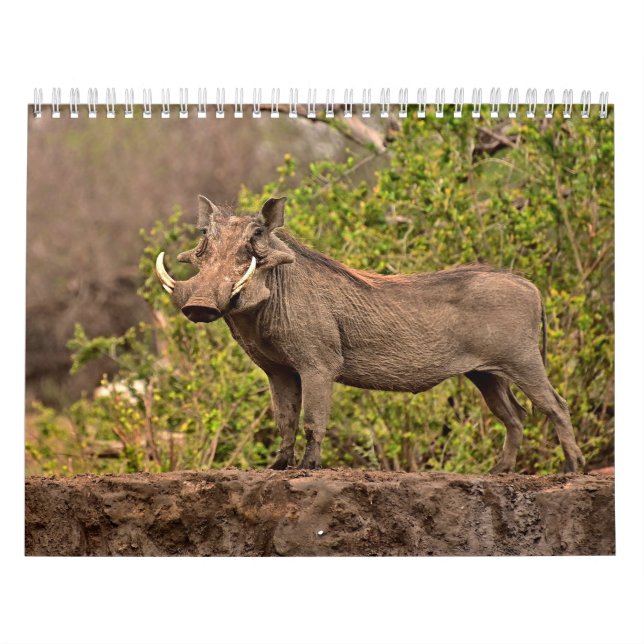 Kalender Kalender (Titelbild)
