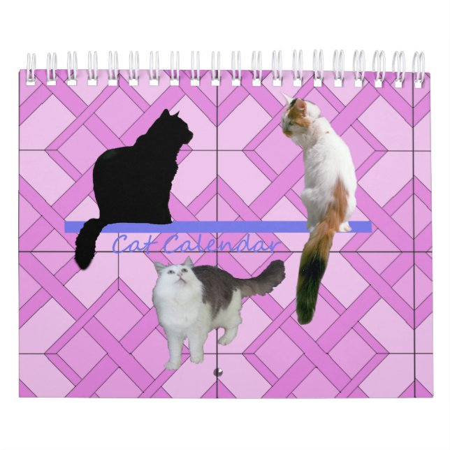 Kalender - Katzen (Titelbild)