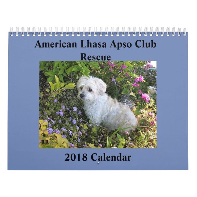 Kalender Lhasas Apso Rettungs-2018 (Titelbild)