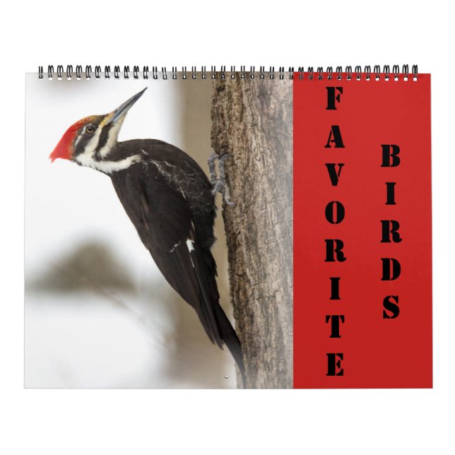Kalender - Lieblingsvögel (Titelbild)