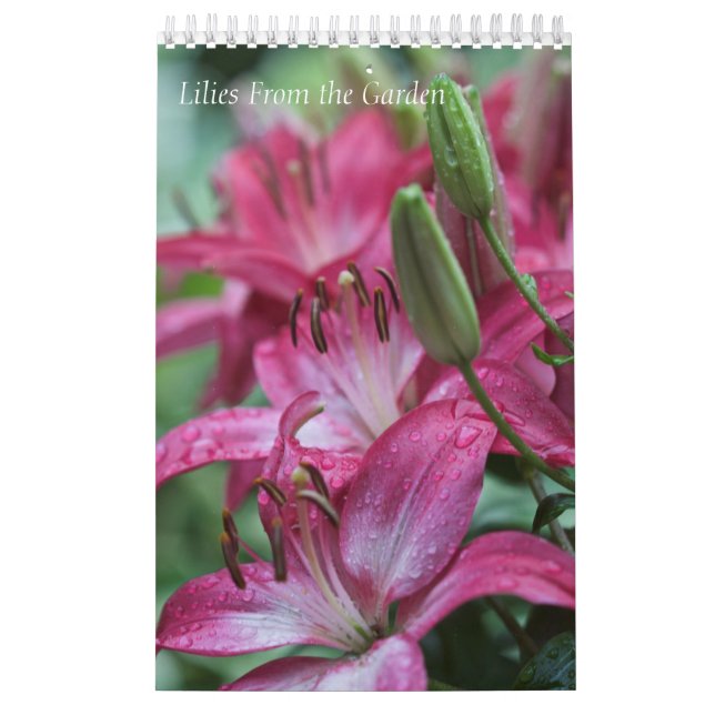 Kalender Lilien aus dem Garten (Titelbild)