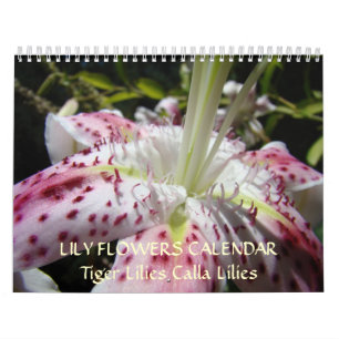 KALENDER LILIEN Rosa Calla-Lilie Blumen Tigerlilie
