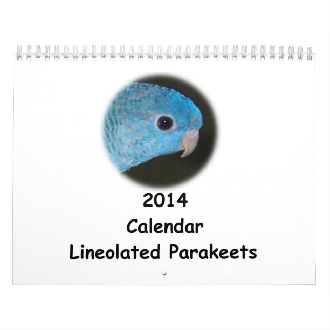 Kalender Linnie Parakeet-2014 (Titelbild)