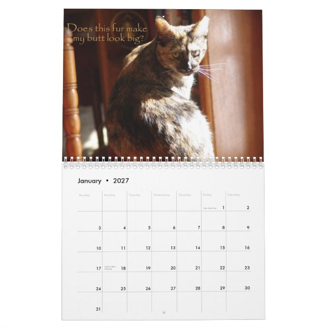 Kalender LOL Katzen-2008 (Jan 2027)