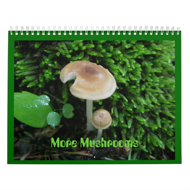 Kalender - Mehr Pilze (Titelbild)