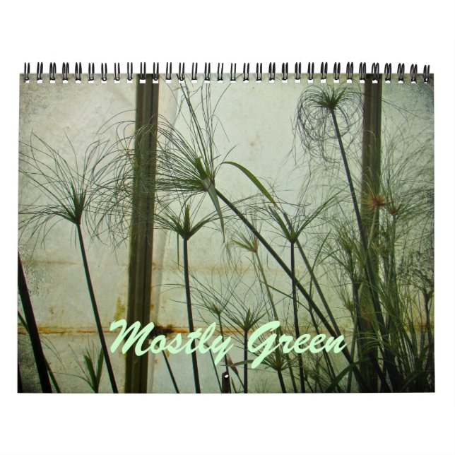 Kalender - meistens grün (Titelbild)