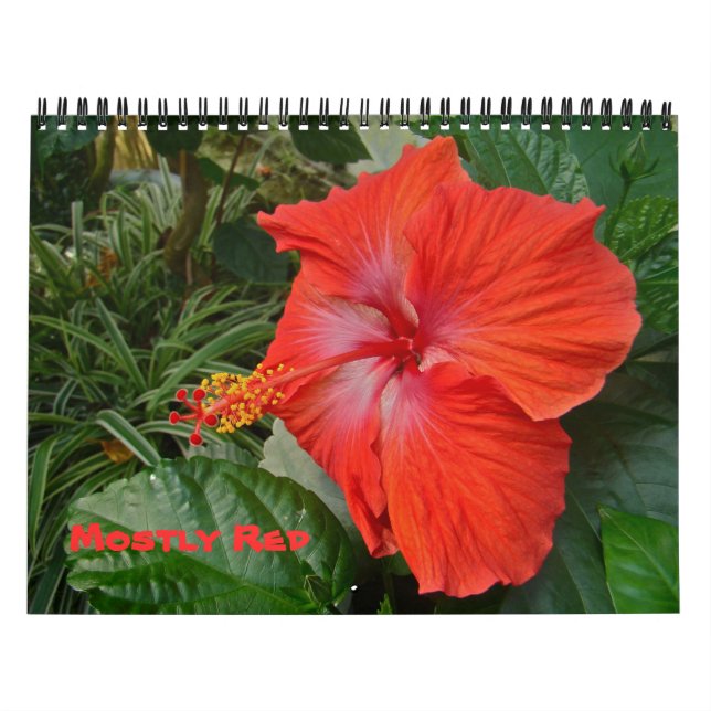 Kalender - meistens rot (Titelbild)