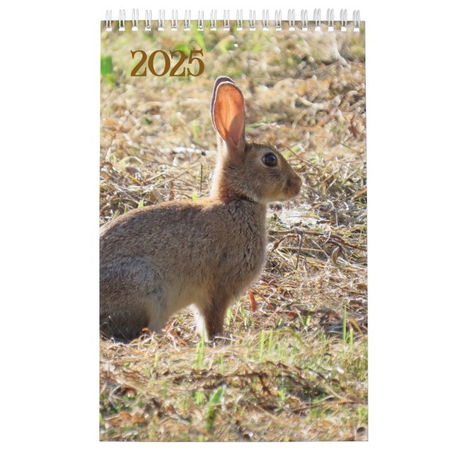 Kalender met afbeeldingen van de natuur (Titelbild)
