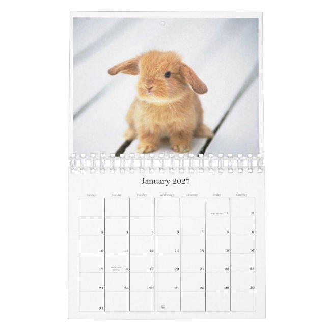 Kalender mit 2010 Tieren (Jan 2027)