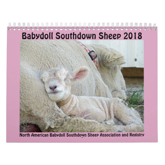 Kalender mit 2018 NABSSAR Babydollsouthdownschafen (Titelbild)
