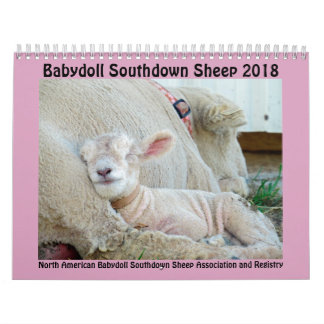 Kalender mit 2018 NABSSAR Babydollsouthdownschafen
